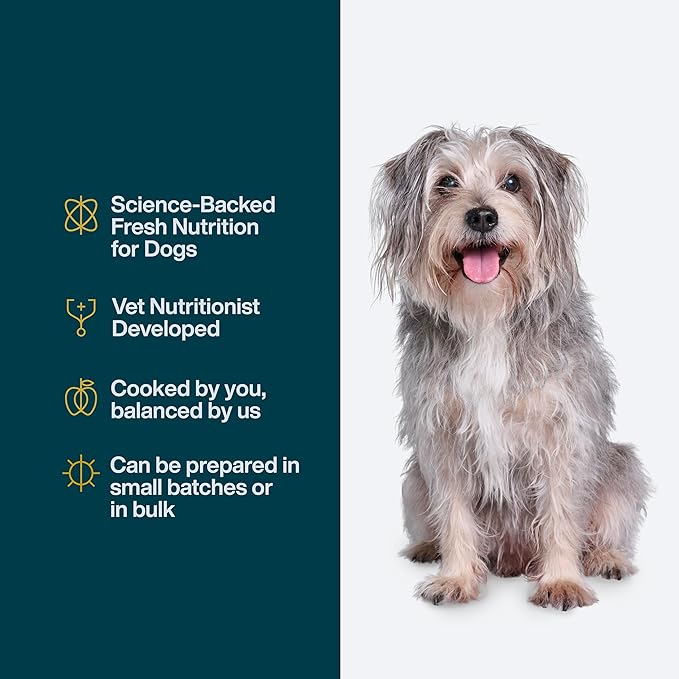 Just Food for Dogs Nutrient Blend, Vitamins and Supplements for Homemade Dog Food, Chicken and Rice, DIY Fresh Pet Meals and Toppers, Human Grade Quality, Dog Vitamins & Multivitamin Additive, 4.55oz