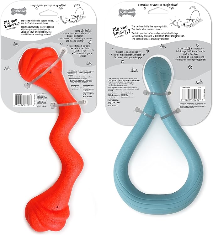 Nylabone Springa and Tuug Interactive Dog Toys Bundle for Dog Enrichment – Lightweight Intriguing Dog Tug Toys for Creative Play & Dog Exercise Springa & Tuug, Multi-Color, (ND1098)