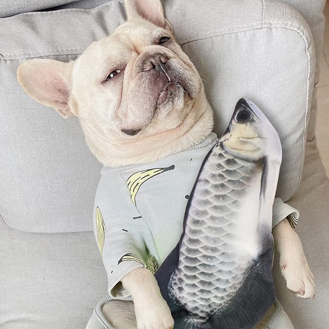 VAIZIQ Flopping Fish Realistic Rocking Dog Toy - Interactive Pet Toys for Small/Medium Dog Exercise