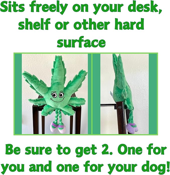 My Name is Mary Jane, Cute Stuffed Parody Marijuana Leaf Dog Toy, Funny Squeaky Weed Toy, Cool Plush Novelty 420 Gift for Puppies & Small, Medium & Large Breeds, For Fetch & a Photo Prop, Shelf-Sitter