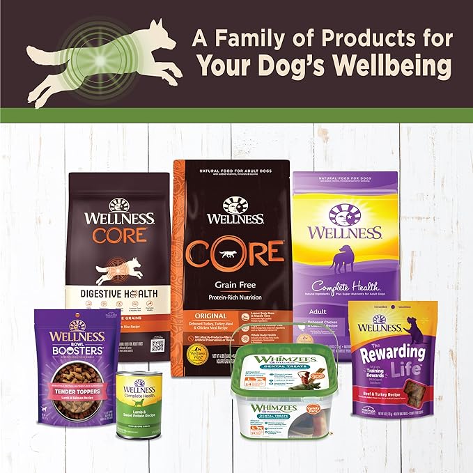 Wellness CORE Digestive Health Pate Adult Canned Wet Dog Food, Grain Free, Sensitive Stomach, Natural, Lamb Recipe, 13 oz, Pack of 12 Cans