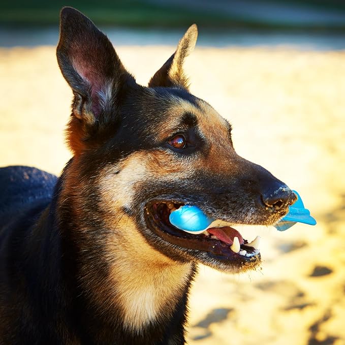 ChuckIt! Ultra Dart Dog Toy for Ultra Sling Launcher, Speed
