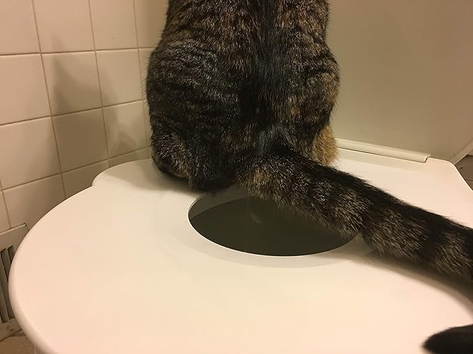 Kitty's Loo™ - Superior Cat Toilet Training Kit - The Original Cat Training Seat - Patented - USA Made - Durable Portable