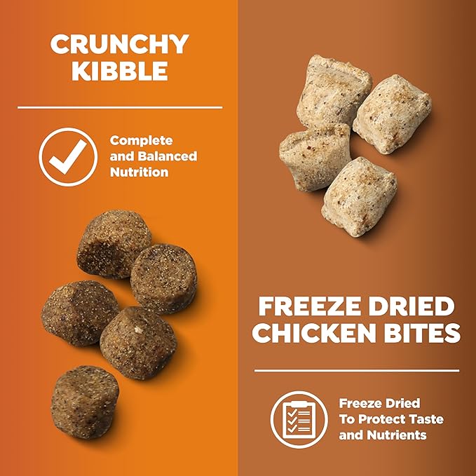 Nature's Recipe Freeze Dried Blend Chicken, Barley & Brown Rice Dry Dog Food, 10.5 lb Bag