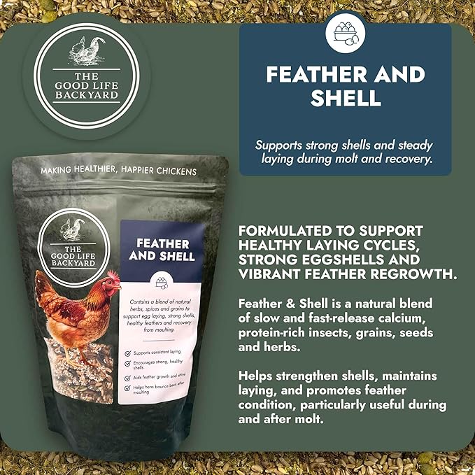 Good Life Backyard Feather and Shell for Chickens – Calcium and Protein Support Blend for Feathers and Eggshells (1 lb Pouch) | Hatching Time