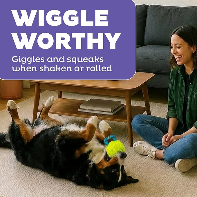 Outward Hound FlyFetch Giggle Ball Dog Toy, Giggles & Squeaks, Handle for Tug & Fetch, Lightweight, Multiple Textures, All Breeds, 7.3"