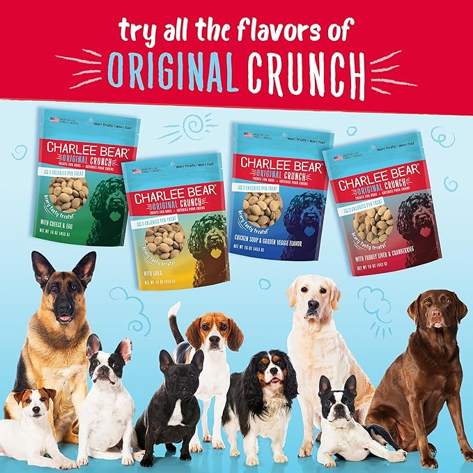 Charlee Bear Original Dog Training Treats, Low Calorie (3 Calories Each), Limited Ingredient, Chicken Soup and Garden Veggie Recipe, Natural Bite-Size Treats for Dogs, 16 Ounce