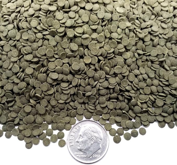 3.5mm - 1/8" Spirulina, Algae & Veggies, Sinking Micro Wafers for Bottom Fish, Shrimp, Crabs, Crayfish, All Tropical Fish…4-lb & 10oz Lg Jar