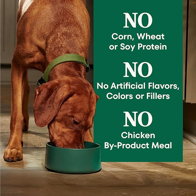 Nutro Natural Choice Dry Dog Food, Adult Dog Food Dry Beef and Brown Rice Recipe, 28 lbs.