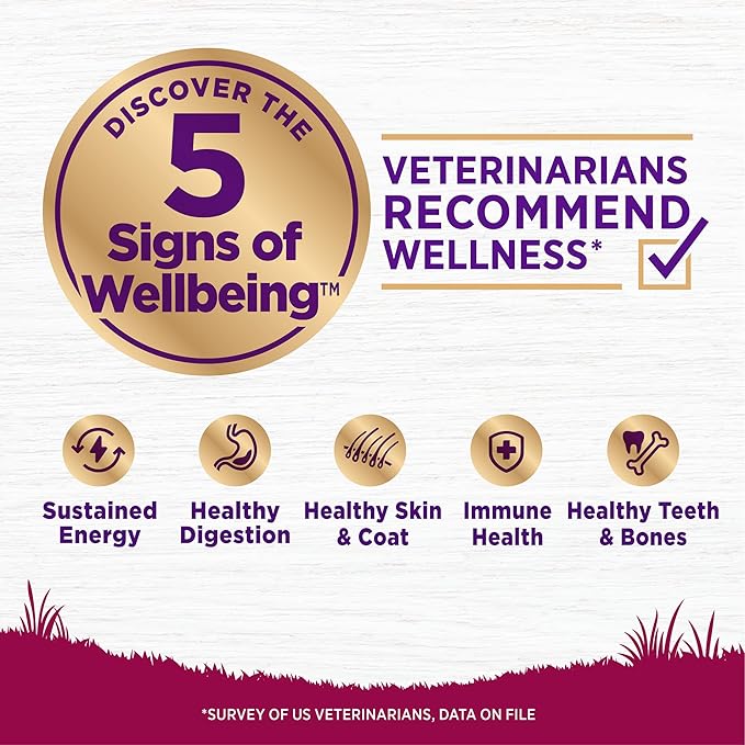 Wellness Complete Health Healthy Weight Small Breed Adult Dry Dog Food, Wholesome Grain Kibble, Natural, Turkey and Brown Rice Recipe, 12 lb Bag