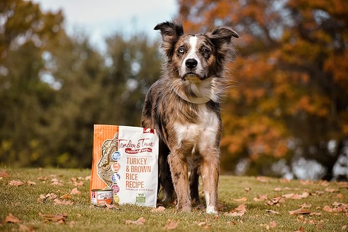 Tender & True Antibiotic-Free Turkey & Brown Rice Recipe Dog Food, 11lb