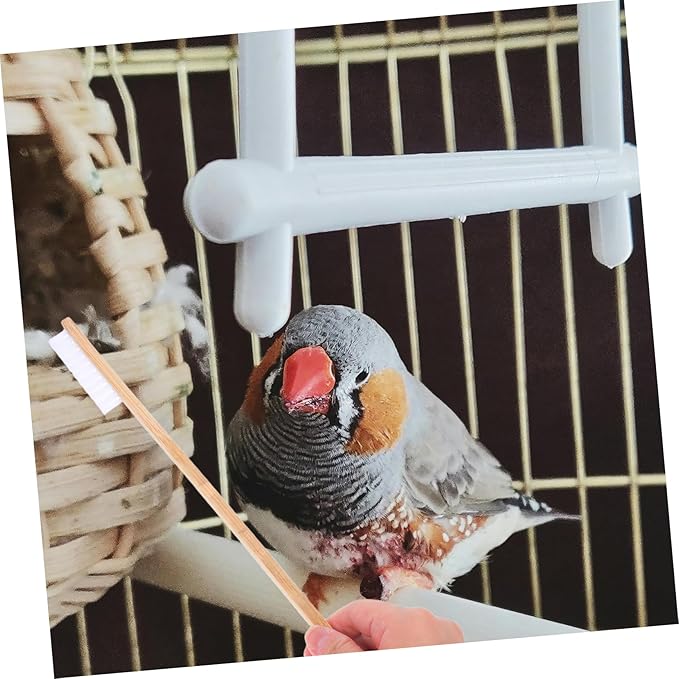 Toddmomy 2pcs Multi-Purpose Bird Cage Cleaning Brush Scoop Easy to Use Set for Feeder Perch Coop Pet Supplies Maintenance