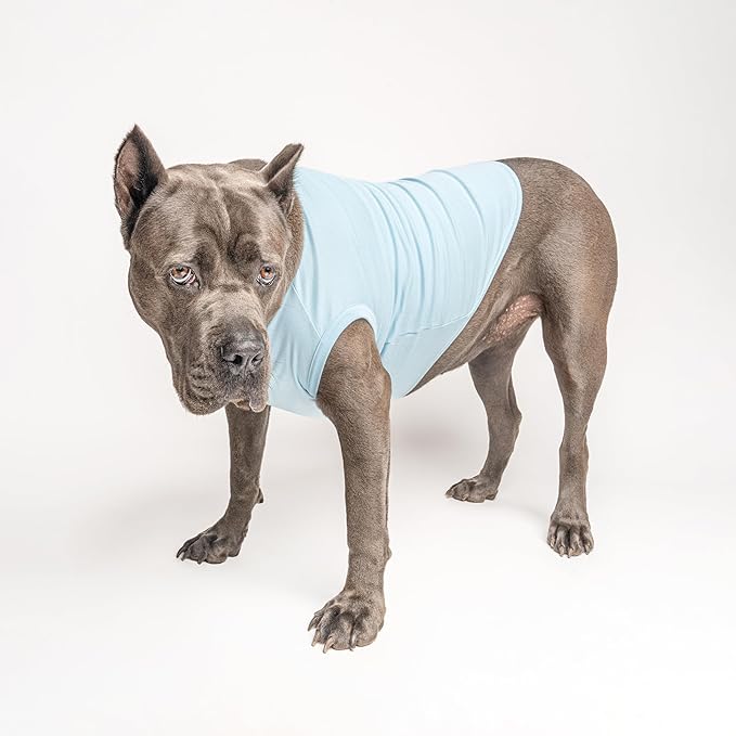 Argentina Flag Soccer Jersey Style Dog Tee Shirt | Sleeveless Breeds | International Soccer | Game Day |Light Blue, 6X-Large 1662
