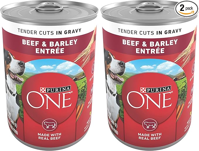Purina ONE Natural Wet Dog Food Gravy, Tender Cuts in Gravy Beef and Barley Entrée - 13 Ounce (Pack of 24)