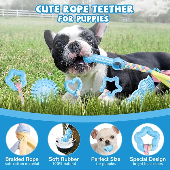 ABRRLO 6 Pack Puppy Teething Toys Cute Blue Puppy Chew Toys for Teething Small Breed Dog Chew Toy Interactive Pet Toy Set for Puppies to Keep Them Busy Soft Durable Small Breed Doggy Chewing Ball
