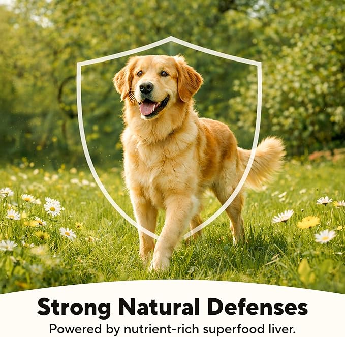 Dave's Pet Food Grain Free Wet Dog Food (95% Turkey & Turkey Liver), Made in USA Single-Source Protein, Limited Ingredients, 12.5 oz Cans (12 Pack)