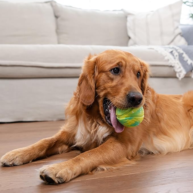 Outward Hound Grunt N' Punt Tennis Ball - Fetch Ball Dog Toy, Multi (Pack of 4)