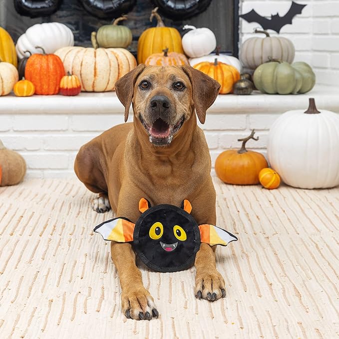 Fringe Studio Plush Dog Toy, Durable, Bat's The Way It is (729058), Multicolored
