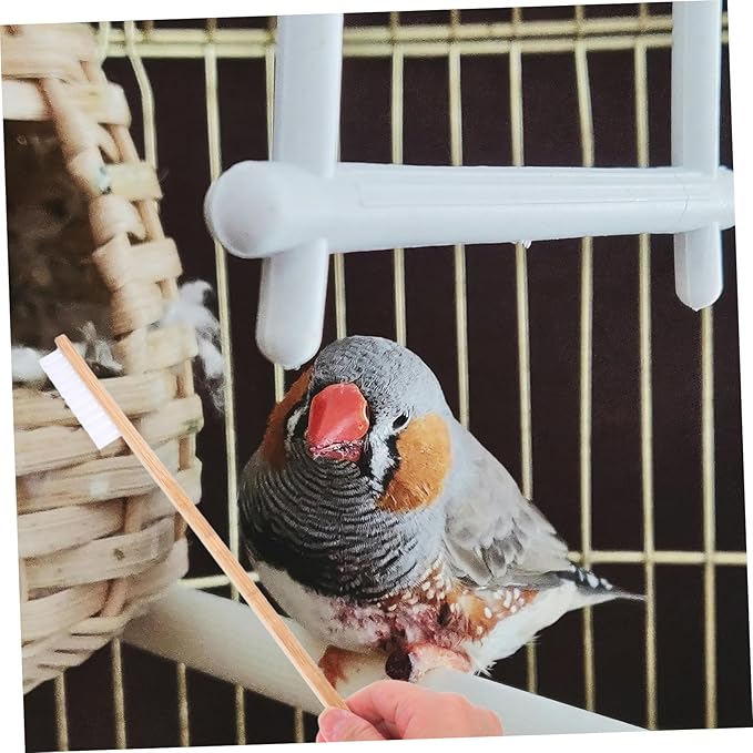 YARNOW 2pcs Bird Cage Cleaning Brush Set Droppings Shovel Easy to Use Tools for Bird and Small Animal Cage Maintenance Versatile