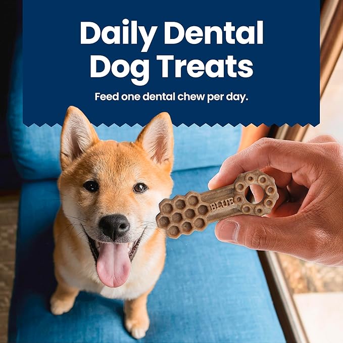 Blue Buffalo Large Dental Chews Bundle, Natural Dog Treats Enhanced with Vitamins, Minerals, and Other Nutrients, Four 22 oz. Bags