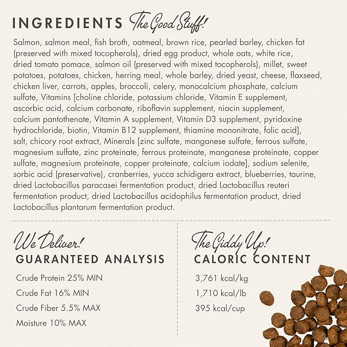 Fromm Four-Star Nutritionals Salmon A La Veg Dog Food - Premium Dry Dog Food - Salmon Recipe - 12 lb