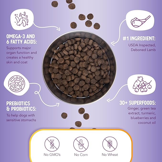 Health Extension Lamb & Brown Rice Dry Dog Food, Protein Packed Formula with Probiotics & Superfoods for Digestion & Coat Health (4 lb)