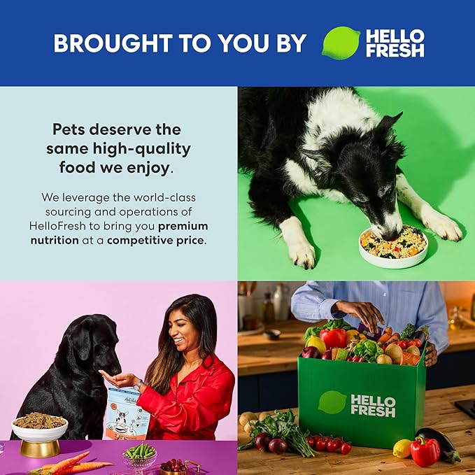 The Pets Table Grain Free Air Dried Dog Food 2 Pack - Beef & Berries + Salmon & Whitefish, 16 Ounce (Pack of 2)
