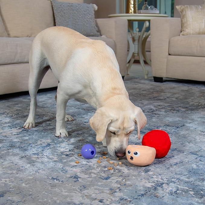 Outward Hound by Nina Ottosson Snack Palz Interactive Plush Dog Puzzle with Treat Ball, Mushroom, Multicolored