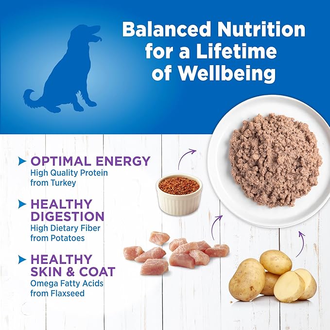 Wellness Simple Limited Ingredient Diet Adult Canned Wet Dog Food, Wholesome Grains, Natural, Turkey and Potato Recipe, 12.5 oz, Pack of 12 Cans