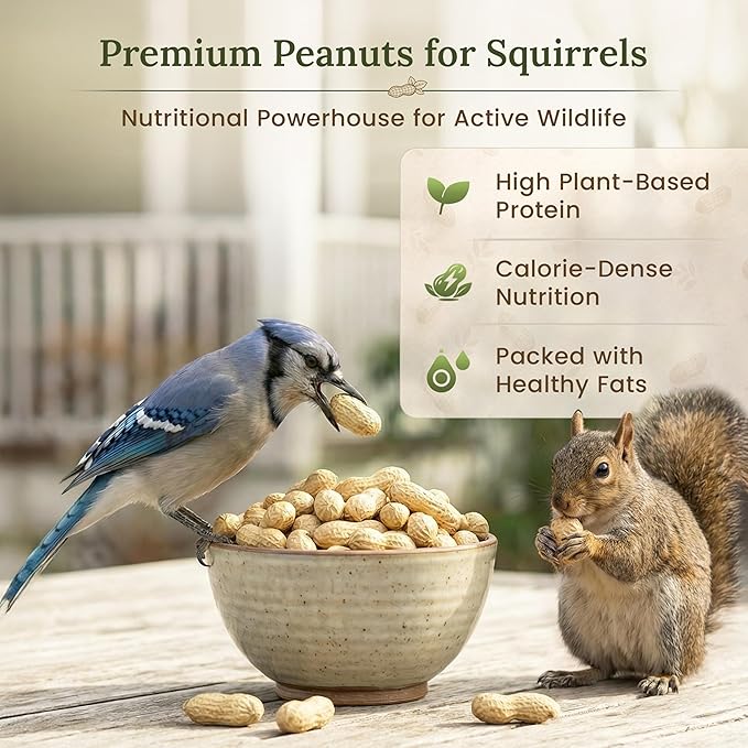 Forest Haven Premium Raw Peanuts for Squirrels – 2LB Bulk Squirrel Food – Unsalted Peanuts in Shell for Birds, Deer & Wildlife – Bonus Binoculars Included - USA Grown