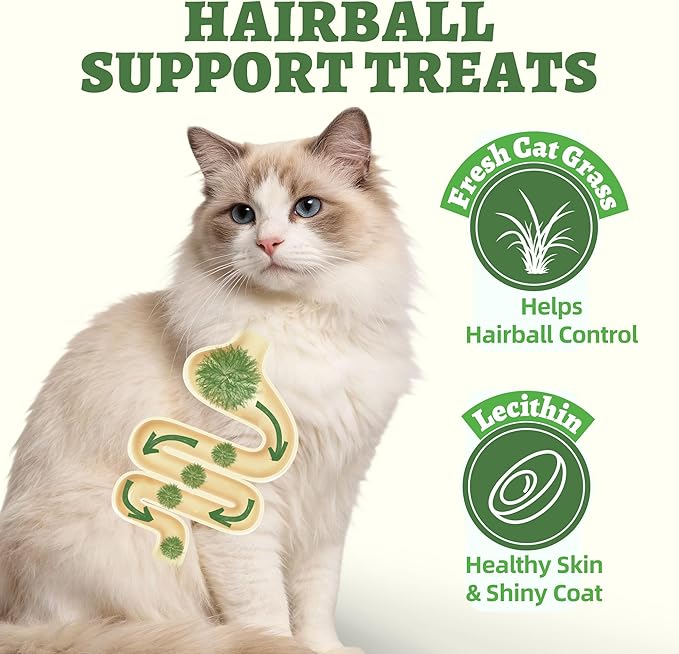 Wellix Cat Grass Treats Freeze-Dried Donut for Cats & Dogs - Hairball Control,Gut Health for Dental Cat Treats - Natural Teeth Cleaning for Kittens Training Snacks Chicken Formula 3oz
