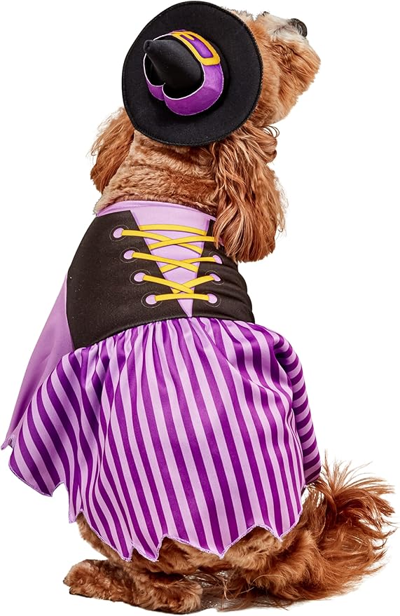 Rubies Witch Pet Costume for Dogs or Cats, Medium