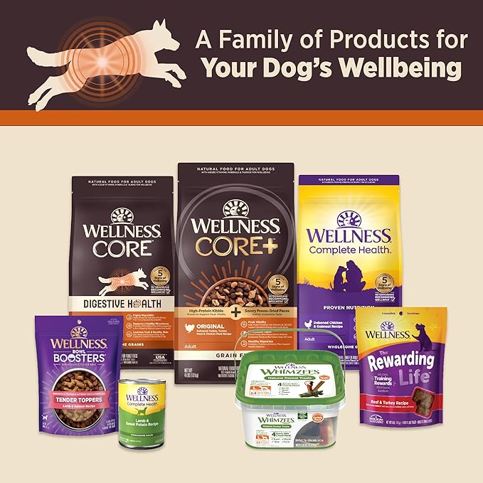 Wellness CORE Digestive Health Pate Variety Pack Adult Canned Wet Dog Food, Grain Free, Sensitive Stomach, Natural 13 oz, Pack of 6 Cans
