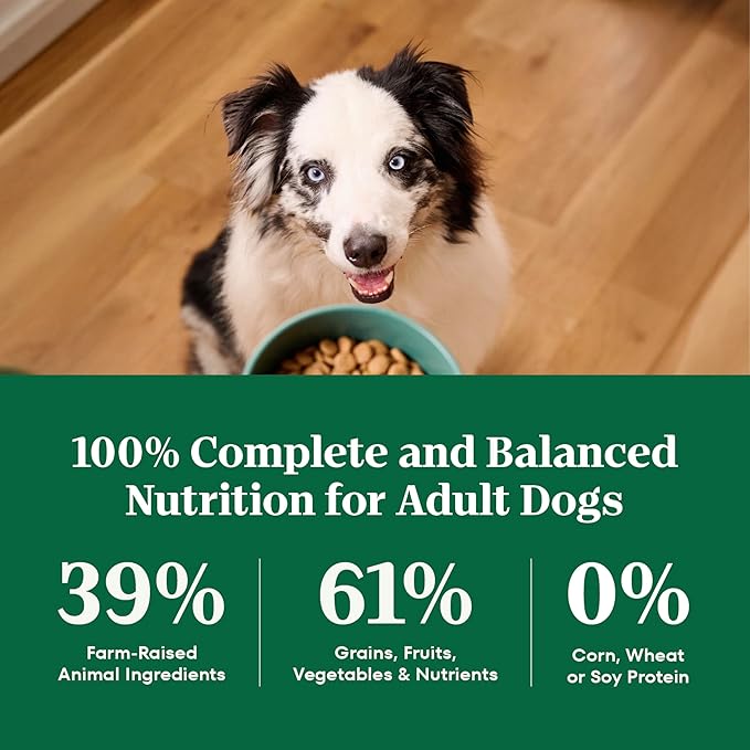 Nutro Natural Choice Dry Dog Food, Adult Dog Food Dry Lamb and Brown Rice Recipe, 12 lbs.