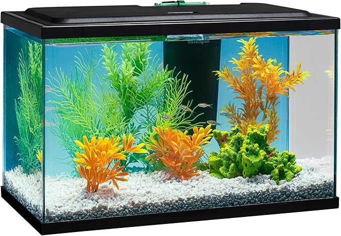 Tetra Whisper Bio-Bag Medium Filter Cartridges for Aquariums, 36 Count, Ready to Use, Fits Tetra Whisper Fish Tank Filters 5-10 Gal, PF-10, IQ 10