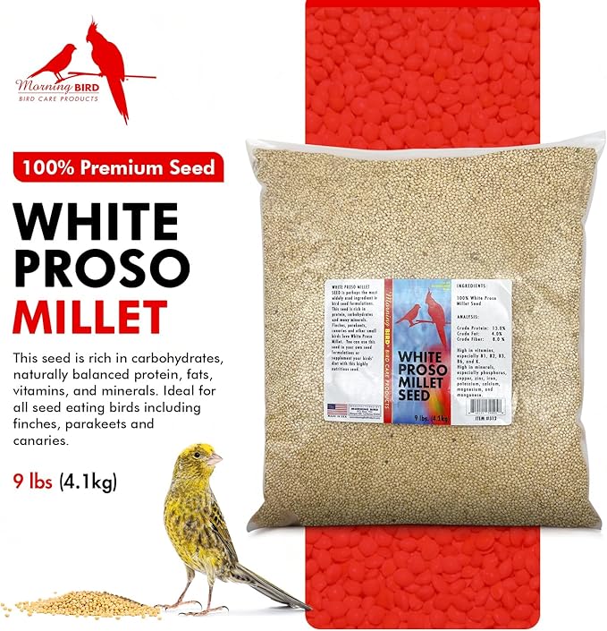 Morning Bird White Proso Millet 9 lbs – Unhulled Natural Bird Seed – Supports Feather Growth & Balanced Nutrition – High Energy Delicious Seed - Ideal for Finches, Parakeets & Pet Birds