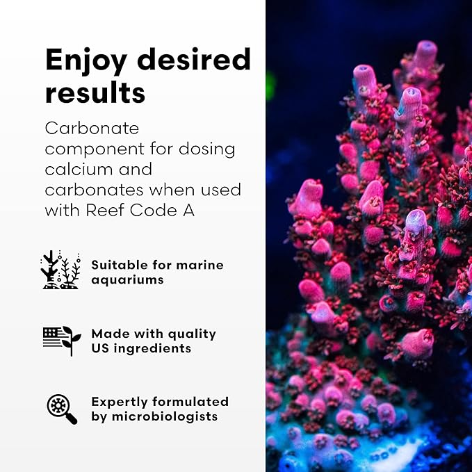 Brightwell Aquatics - Reef Code B - Balanced Calcium & Alkalinity System Water Conditioner - For All Saltwater Marine Fish & Reef Fish Tanks - Aquarium Water Treatments, 8.45 fl oz