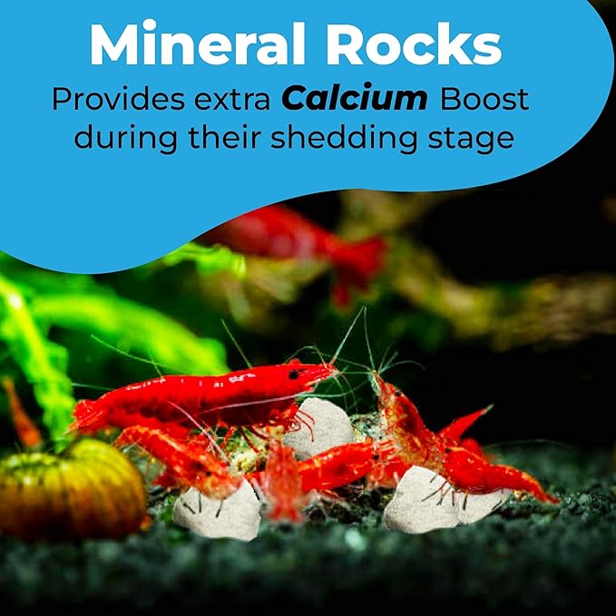 JOR 2 oz Hermit Crab Rocks, Natural Calcium Stones for Shrimp Tank Kit, Crab Decor Accessory, Rock Source for Crabs, Snails & Shrimp, Suitable for Marine Tanks, Freshwater Use & Terrarium Habitats