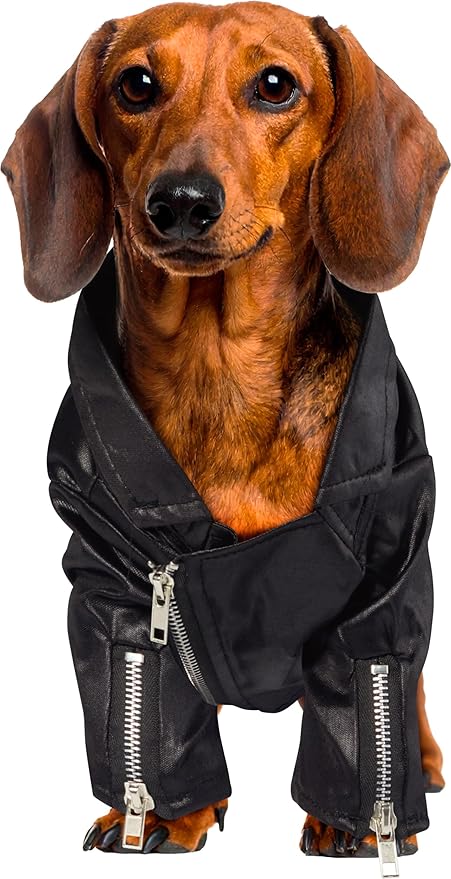 Grease: T-Birds Pet Costume for For Dogs or Cats by Rubies, Medium