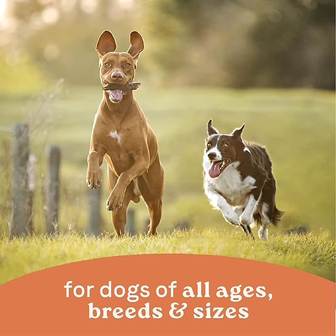 Canidae All Life Stages Premium Wet Dog Food for All Breeds, All Ages, Multi-Protein with Chicken, Lamb & Fish, 13 Ounce (Case of 12)