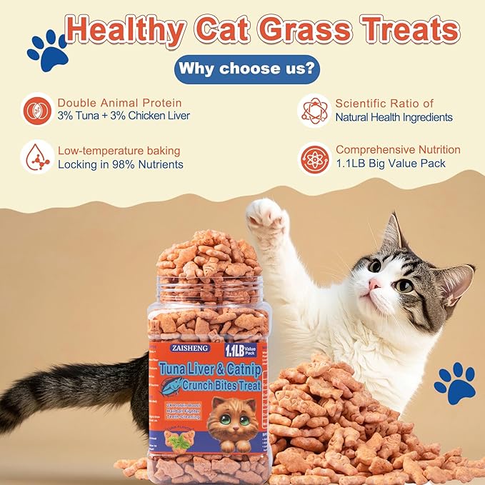 17.6 oz Cat Grass Treats for Indoor Cats - Hairball Control Natural Tuna & Catnip Flavor Healthy Kitten Snacks Crunchy Training Biscuits for Dental Cleaning