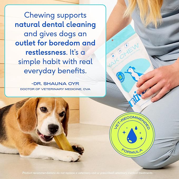 Native Pet Yak Cheese Himalayan Dog Chews - Long Lasting Dental Sticks for Large Breeds – 100% All Natural Himalayan Yak Chews for Large Dogs – Cheese Bone for Aggressive Chewers - 3 Per Pack