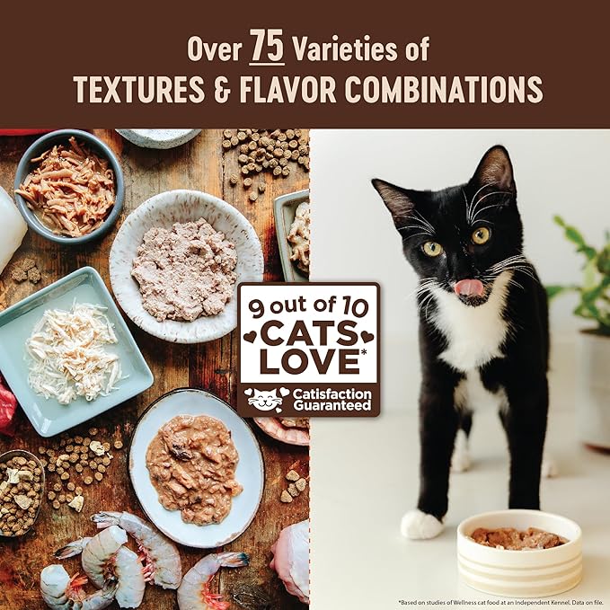Wellness CORE Pate Kitten Canned Wet Cat Food, Natural, Protein Rich, Grain Free, Chicken and Salmon Recipe, 3 oz, Pack of 12 Cans