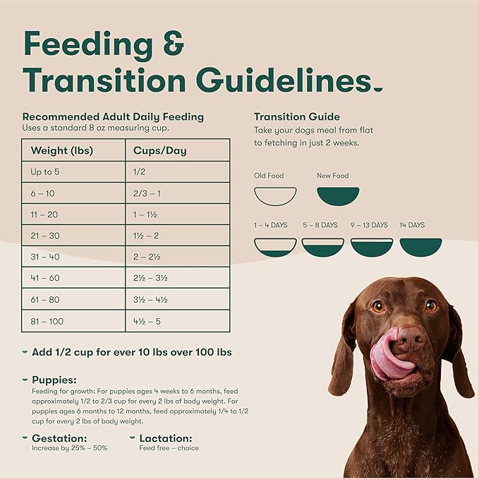 Jinx Premium Grain-Free Dry Dog Food, for All Lifestages - Real Chicken, Sweet Potato & Carrot Kibble with Superfoods for Immune Support & Probiotics for Digestive Support - No Fillers - 4lb