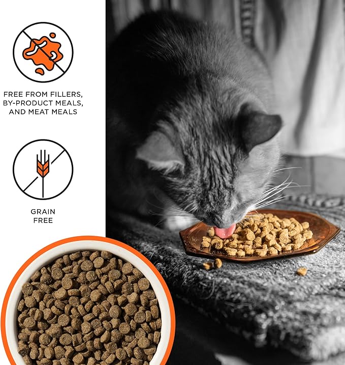 Liberty Dry Food Chicken Recipe for Cats, 3lb
