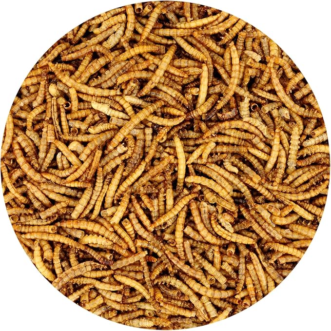 Dried Mealworms - 100% Natural, Non-GMO, High Protein, Bulk Insect Treat for Chicken, Laying Hen, Chick, Wild Bird, Bluebird, Duck, Goose, Turkey, Chickadee, Titmice, Wren, Reptile, Fish (44 lb.)