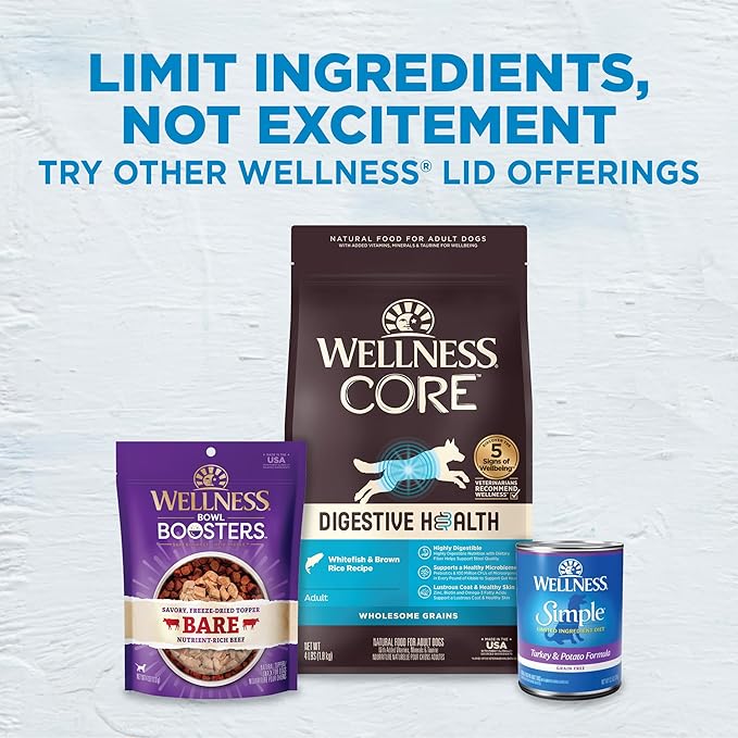 Wellness Simple Limited Ingredient Adult Dry Dog Food, Grain Free Kibble, Sensitive Stomach, Skin & Coat Support, Natural, Chicken Free, Turkey and Potato Recipe, 40 lb Bag