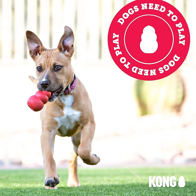 KONG Maxx Bone Sm/Md