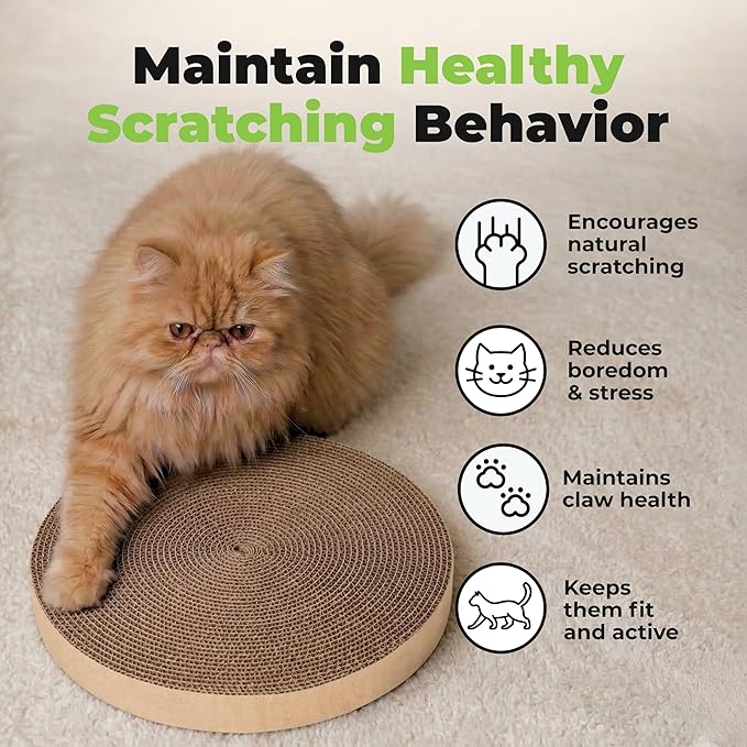 Best Pet Supplies Catify Cat Scratcher, Fun Interactive Scratchers, Posts, Poles, Claw Safe, Furniture Saver Indoor Play Support Natural Cat Behaviors Heavy Duty - 5 Pack Round, 10 x 10"