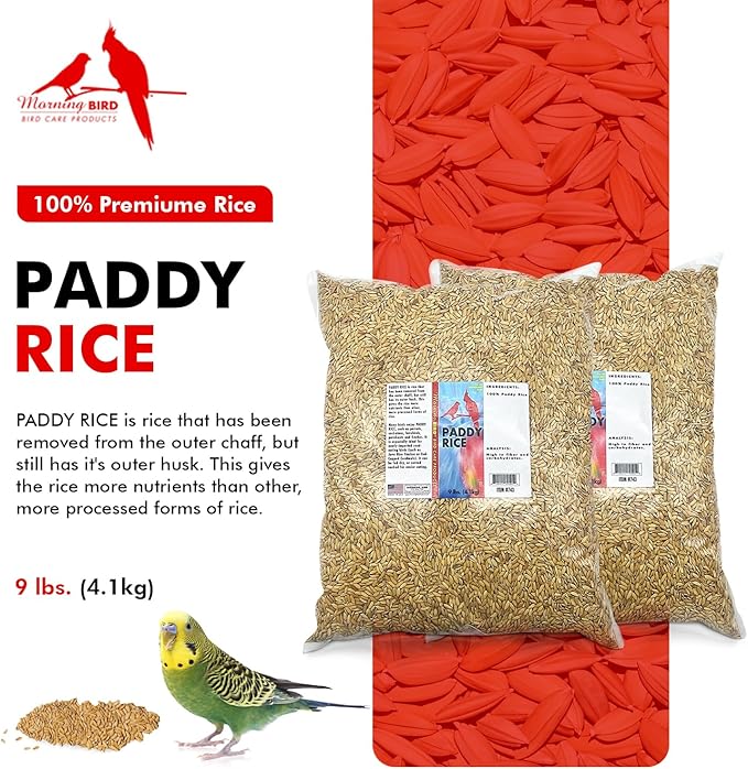 Morning Bird Paddy Rice 18 lbs (2-Pack, 9 lbs Each) Bird Seed – Nutritious Food with Natural Vitamins & Minerals – High Fiber – Supports Feather Health & Immunity – Ideal for Seed-Eating Birds